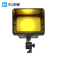 FLSC200-BT yellow RGBW